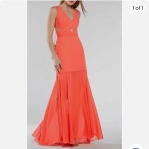 BCBG Ambrosia "joy" dress